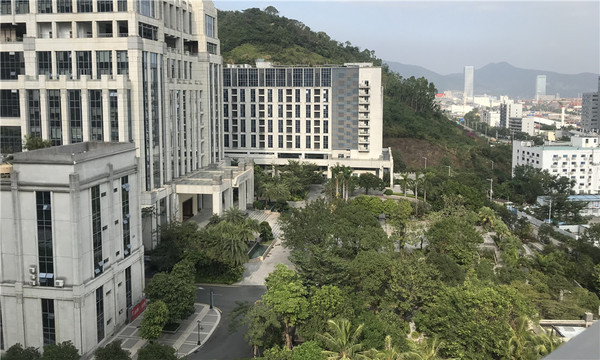 大百汇.jpg