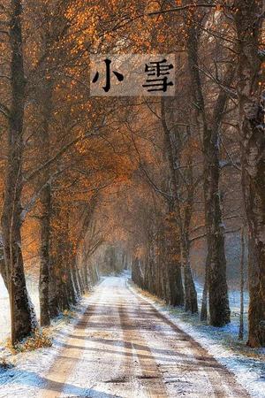 小雪(1).jpg