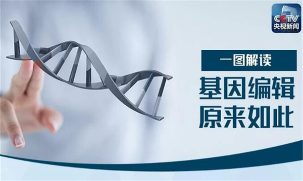 世界首例2.jpg