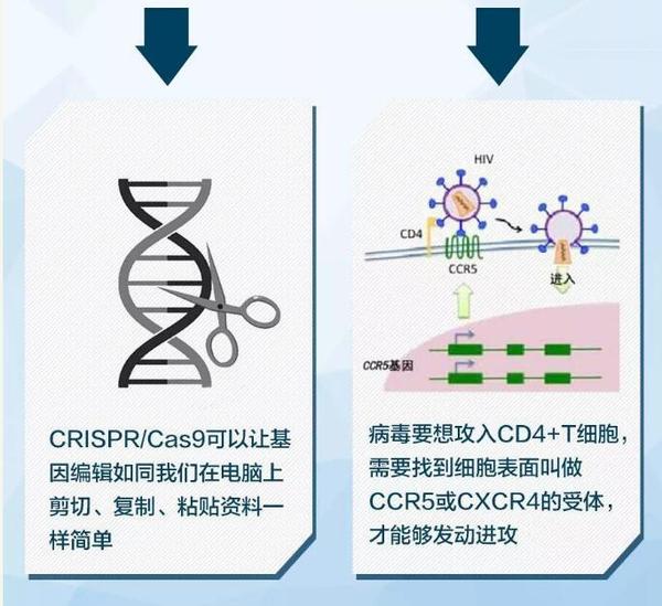 世界首例5.jpg