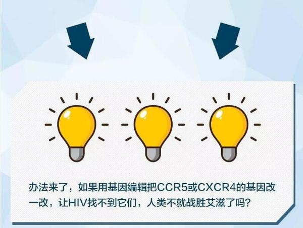 世界首例7.jpg