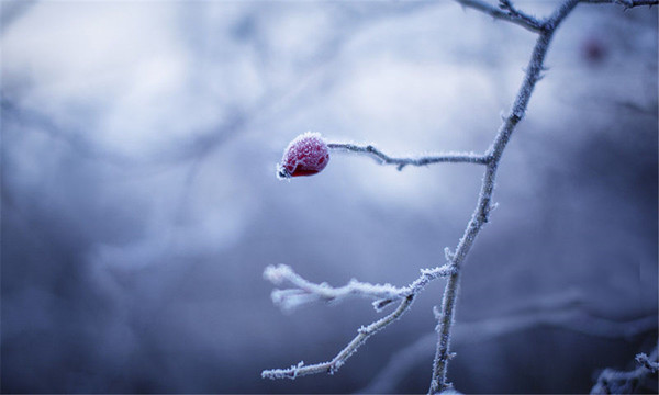 小雪(3).jpg