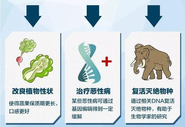 世界首例14.jpg
