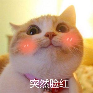 脸红_副本.png